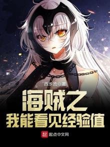 《海贼之我能看见经验值》