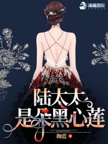 陆太太是朵黑心莲