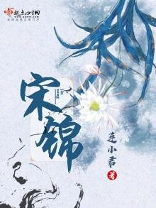 《宋锦》
