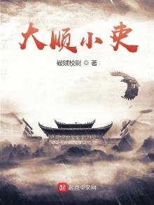 《大顺小吏》