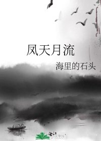 凤天月流