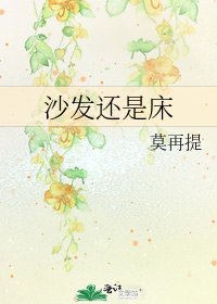 《沙发还是床》