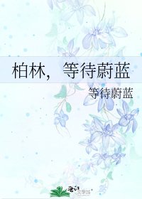 《柏林,等待蔚蓝》