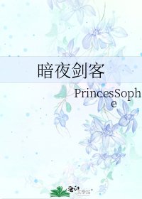 《暗夜剑客》