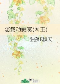 《怎载动寂寞(网王)》