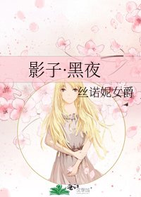 《影子·黑夜》