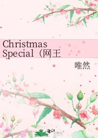 《Christmas Special(网王)》