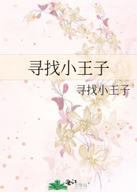 《寻找小王子》