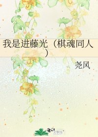 《我是进藤光(棋魂同人)》