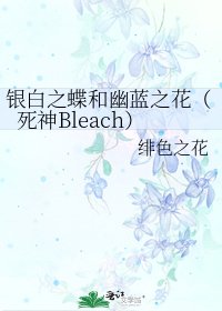 银白之蝶和幽蓝之花（死神Bleach）