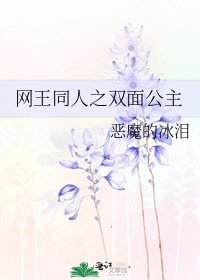 《网王同人之双面公主》