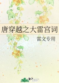 《唐穿越之大雷宫词》