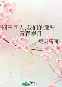 《网王同人;我们的那些青春岁月》