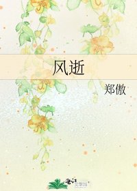 《风逝》