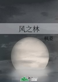 《风之林》