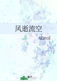 《风逝流空》