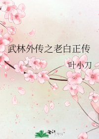 《武林外传之老白正传》