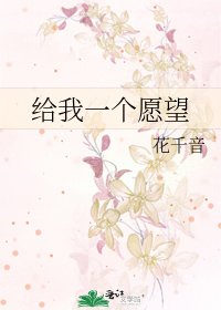 《给我一个愿望》