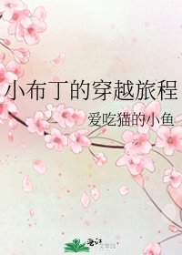 小布丁的穿越旅程