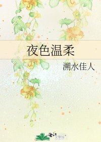 《夜色温柔》