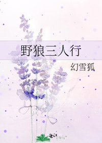 《野狼三人行》