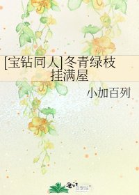 [宝钻同人]冬青绿枝挂满屋
