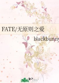 FATE/无原则之爱