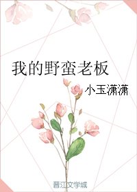 《我的野蛮老板》