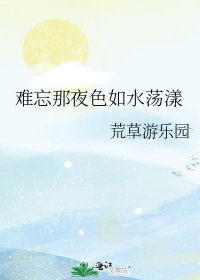 《难忘那夜色如水荡漾》