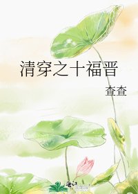清穿之十福晋