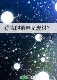 《综我的弟弟是废材?》
