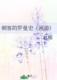 《刺客的罗曼史(网游)》