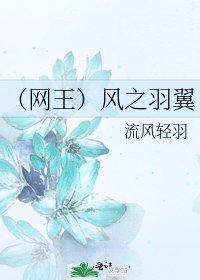 《(网王)风之羽翼》
