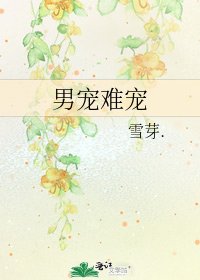《男宠难宠》