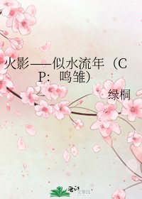火影——似水流年(CP:鸣雏)