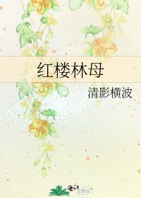 《红楼林母》