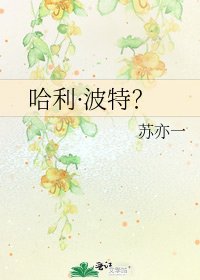 哈利·波特？