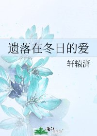 《遗落在冬日的爱》