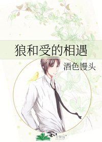 《狼和受的相遇》