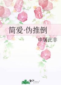 简爱·伪推倒