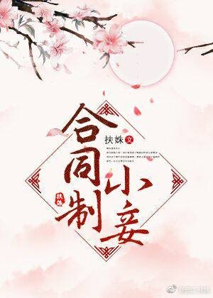 合同制小妾