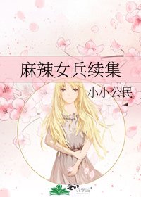 麻辣女兵续集