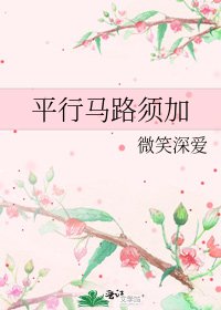 平行马路须加