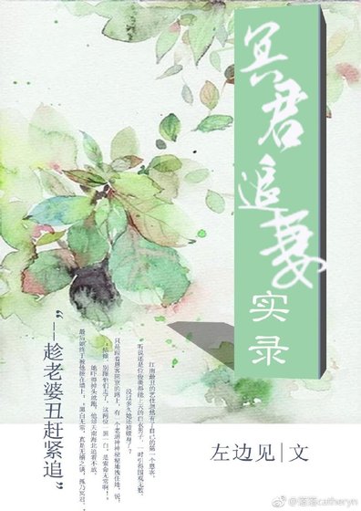《冥君追妻实录》