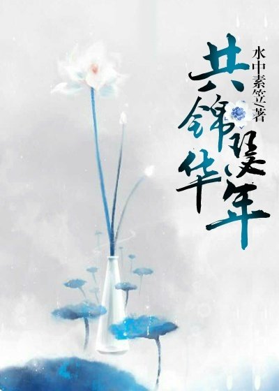 共锦瑟华年
