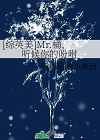 [综英美]Mr.桶，听候你的吩咐