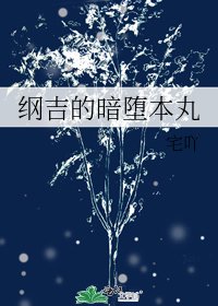 《纲吉的暗堕本丸》