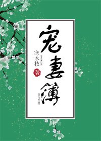 宠妻簿
