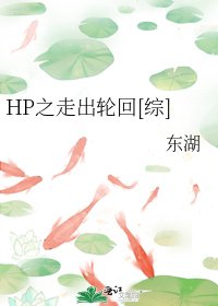 HP之走出轮回[综]