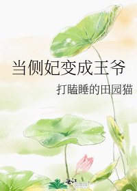《凤翔九天》